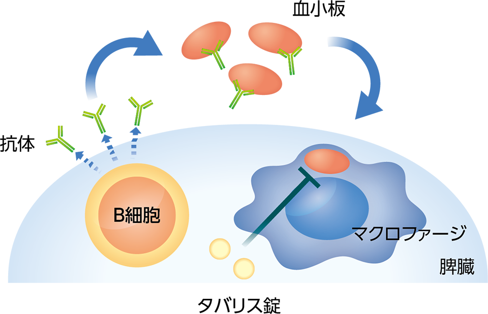 作用の仕方